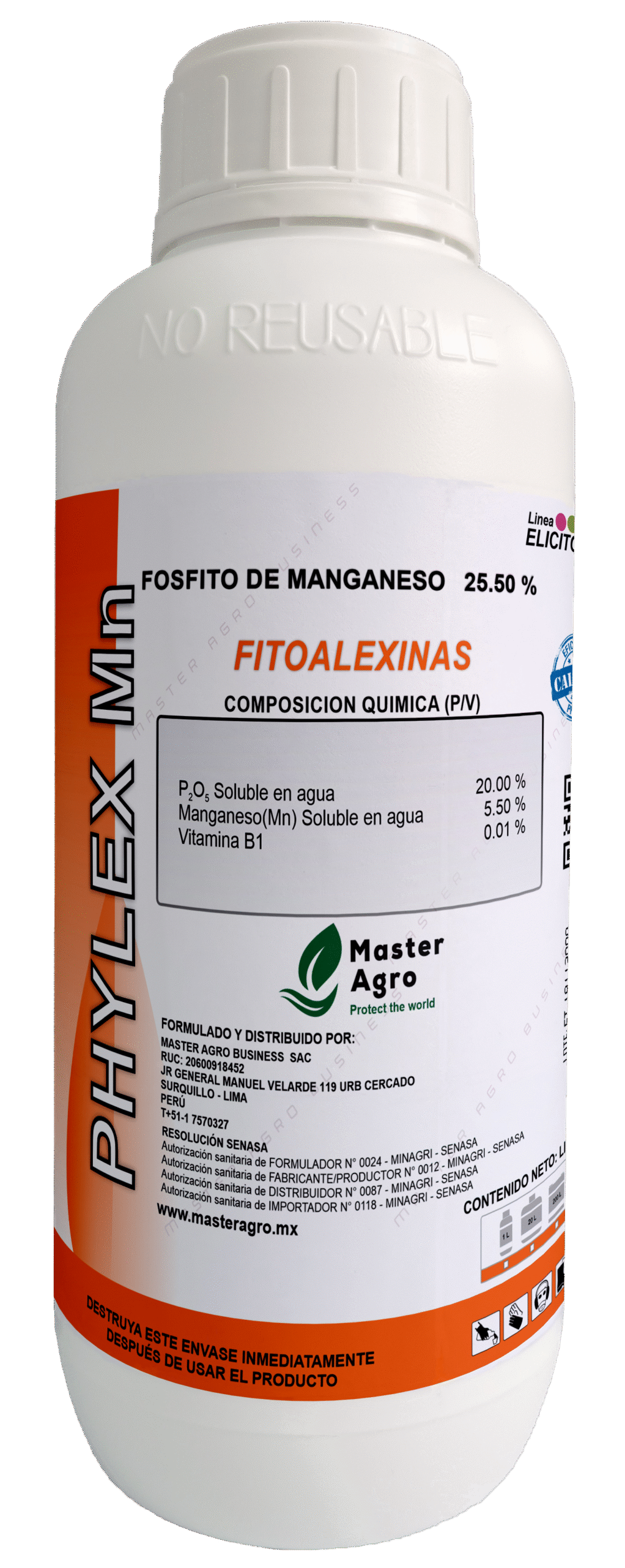 PHYLEX MN