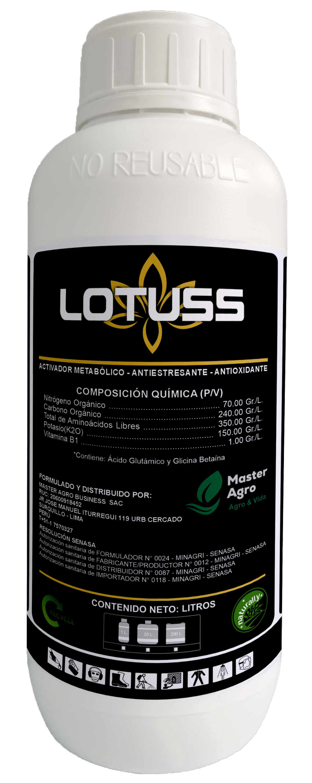 LOTUSS